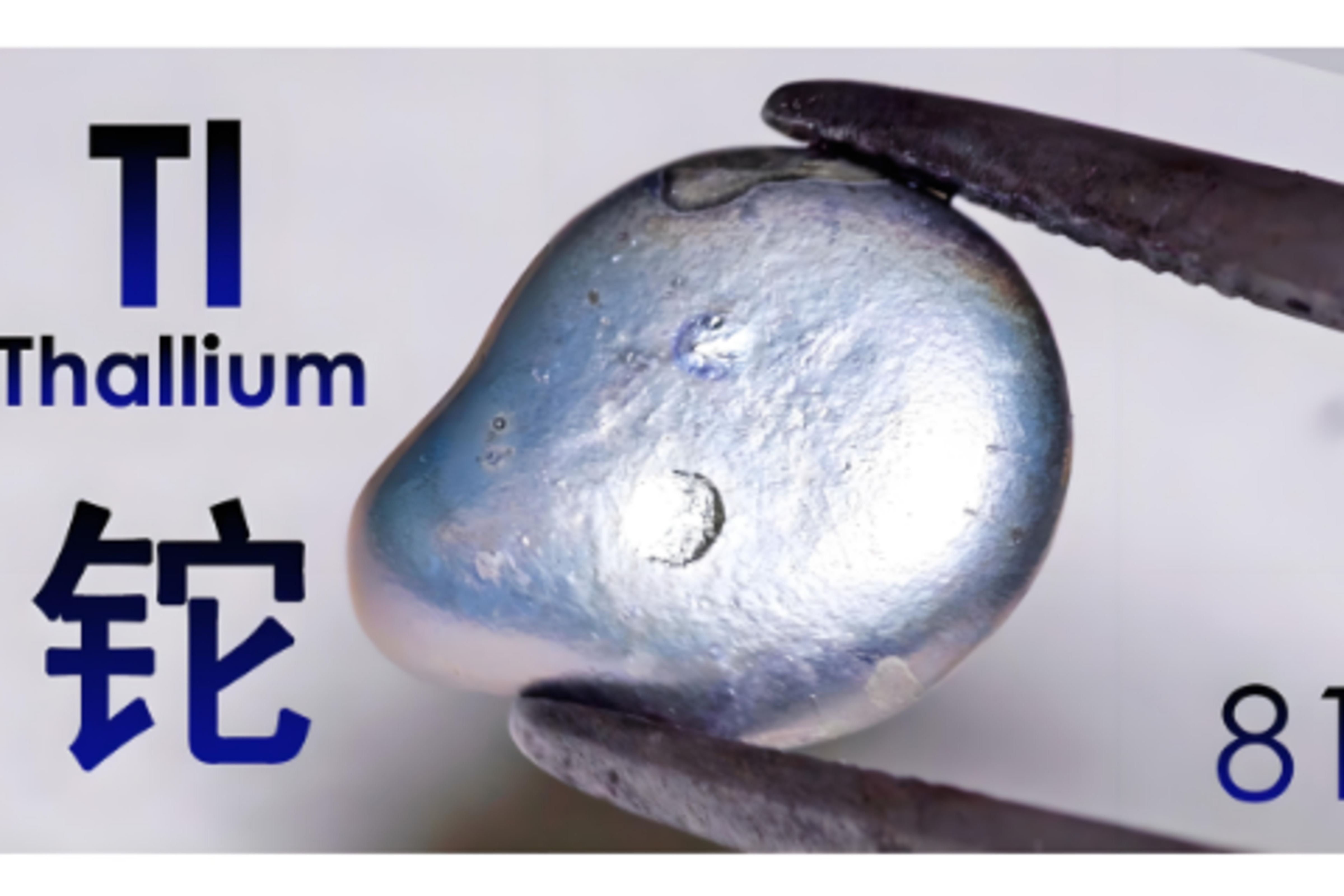 色谱柱与保护柱