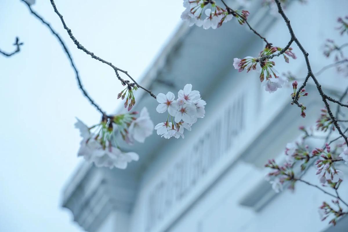 【公司新闻】隐智科仪圆满完成苏州大学实验室搬迁项目，以专业服务保障科研设备安全迁移